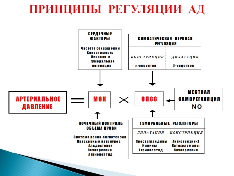 ПРИНЦИПЫ  РЕГУЛЯЦИИ  АД